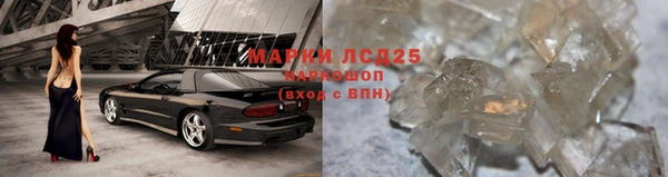 сатива Армянск
