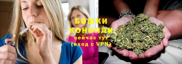 сатива Армянск